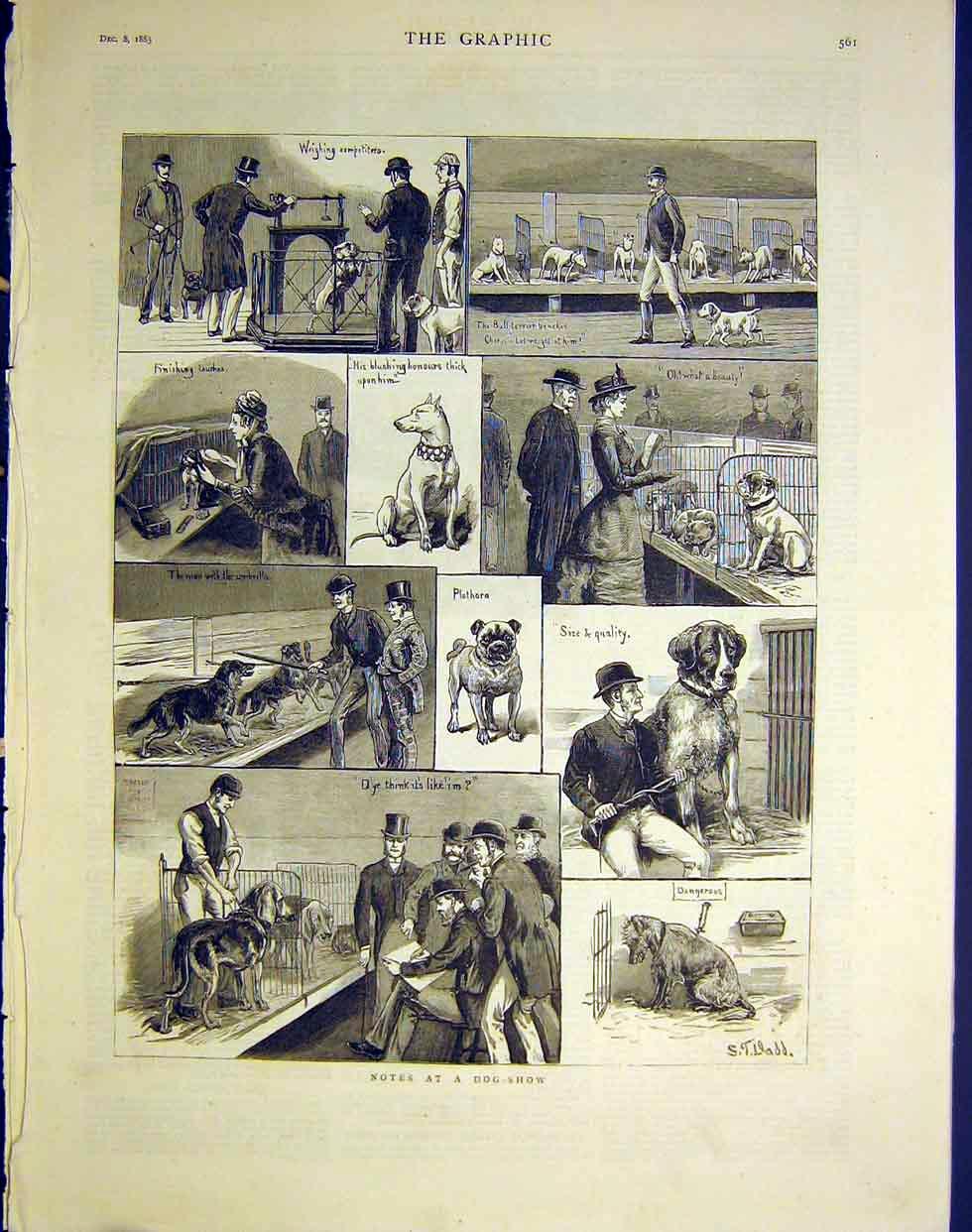 1895 год «Собачий спорт на западе» Сабанеев Л.П. 9146-7