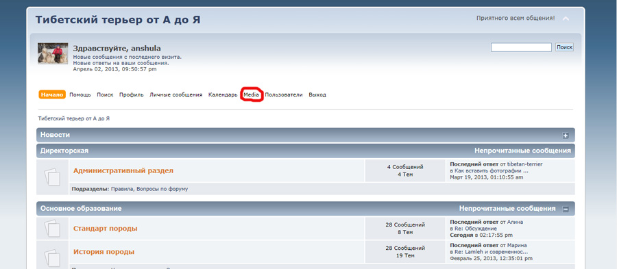 Как работать с Media (Галерея)? 683-0