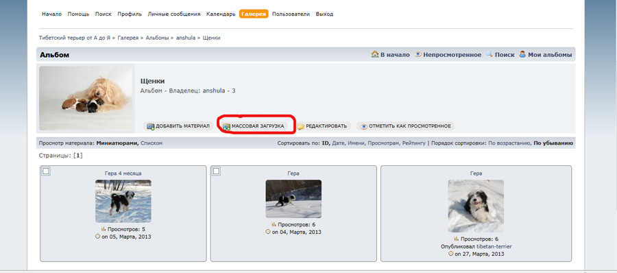 Как работать с Media (Галерея)? 705-9