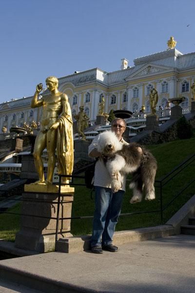 Питомник "Goldie Anshula" г. Москва 4055-10