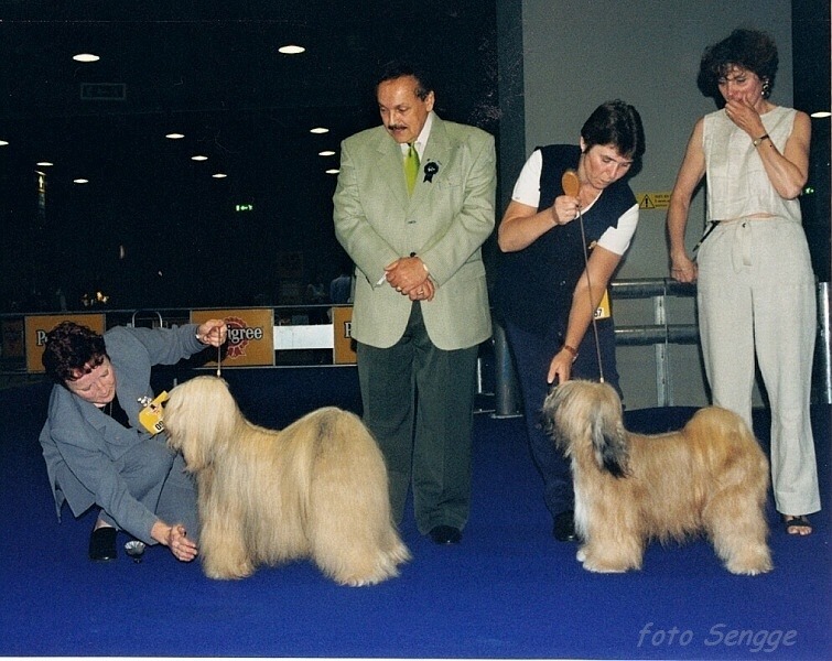 World Dog Show Milano 2000 8547-1