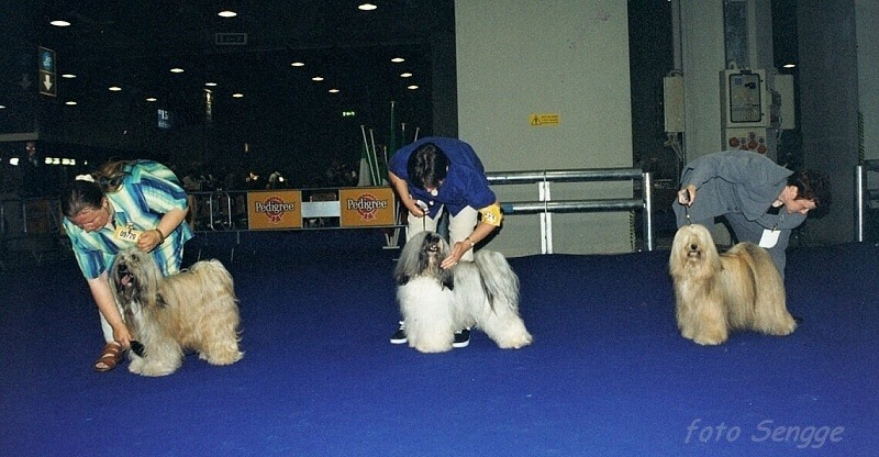 World Dog Show Milano 2000 8551-3