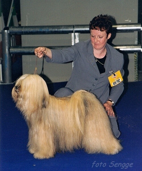 World Dog Show Milano 2000 8555-5