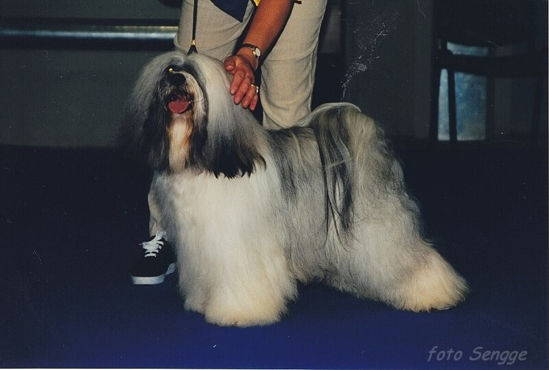 World Dog Show Milano 2000 8557-6