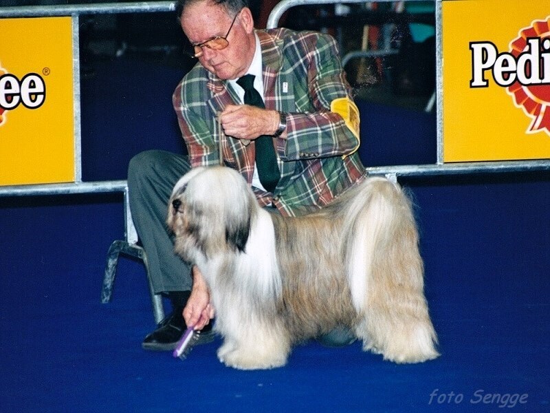 World Dog Show Milano 2000 8559-7