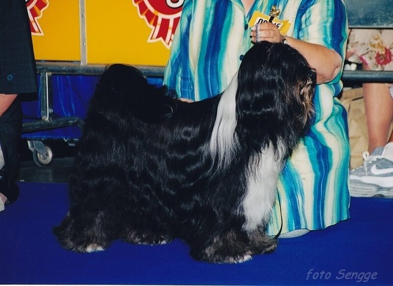 World Dog Show Milano 2000 8563-9