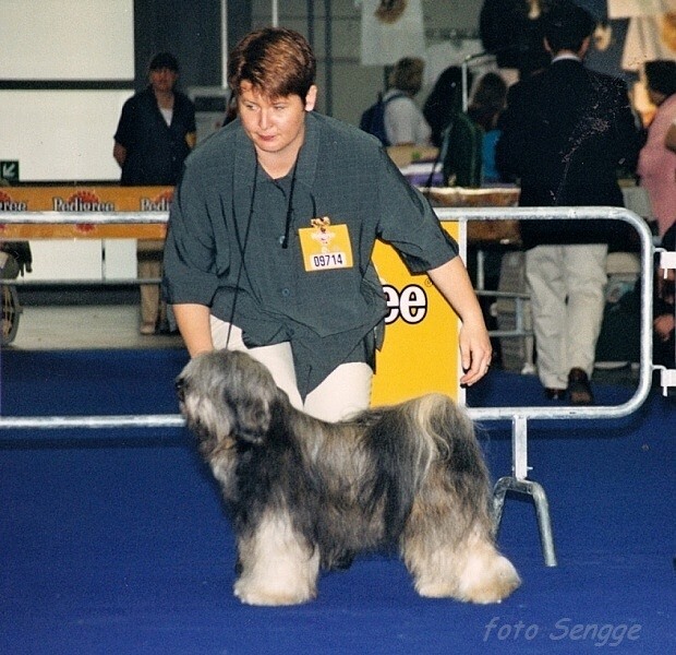 World Dog Show Milano 2000 8569-12