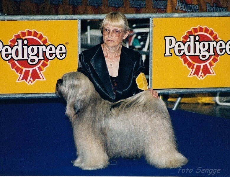 World Dog Show Milano 2000 8577-16