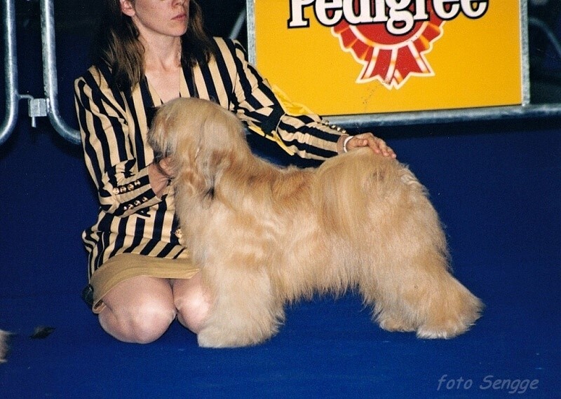 World Dog Show Milano 2000 8579-17