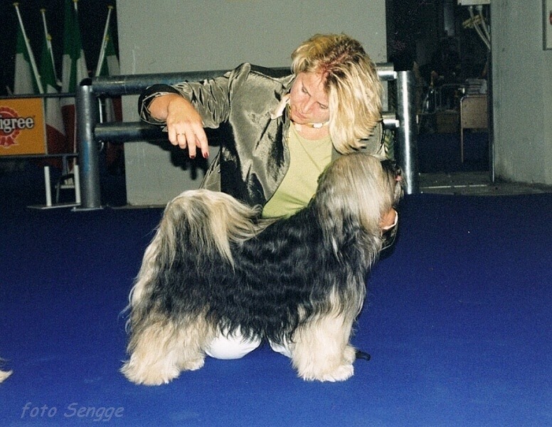 World Dog Show Milano 2000 8589-22
