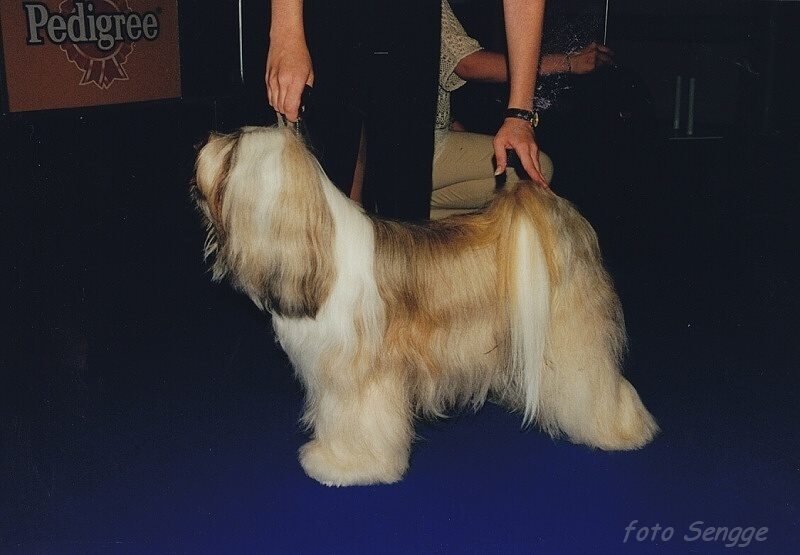 World Dog Show Milano 2000 8597-26