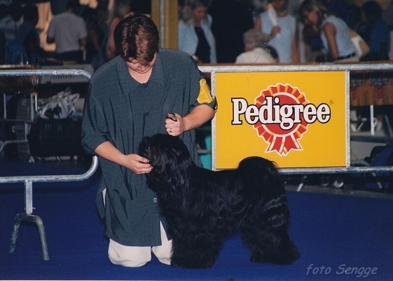 World Dog Show Milano 2000 8601-28