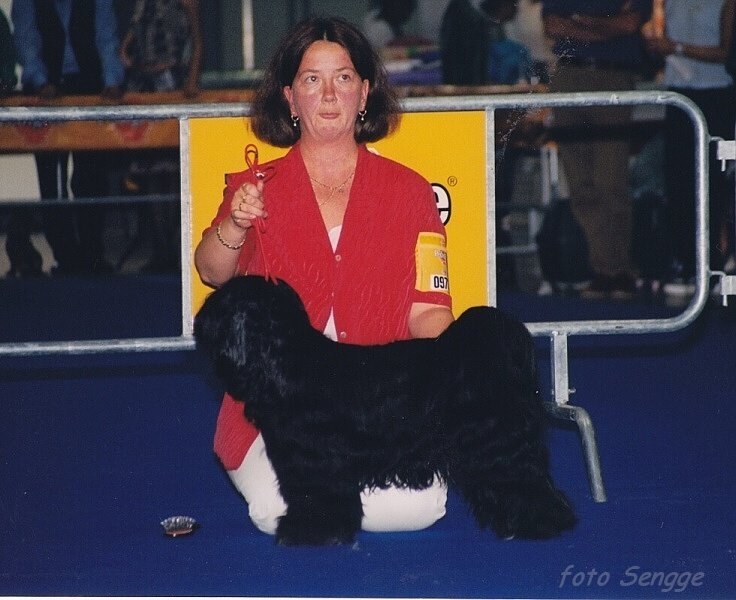 World Dog Show Milano 2000 8605-30