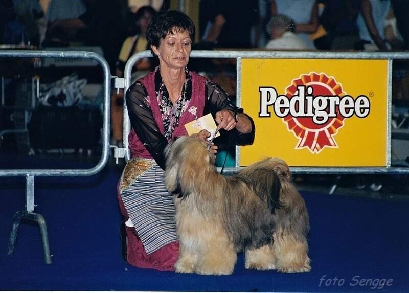 World Dog Show Milano 2000 8609-32