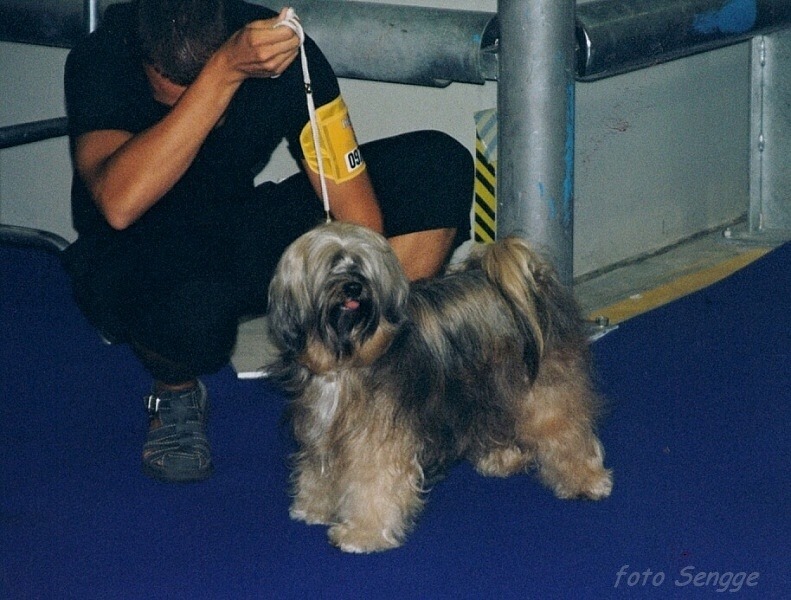 World Dog Show Milano 2000 8627-41