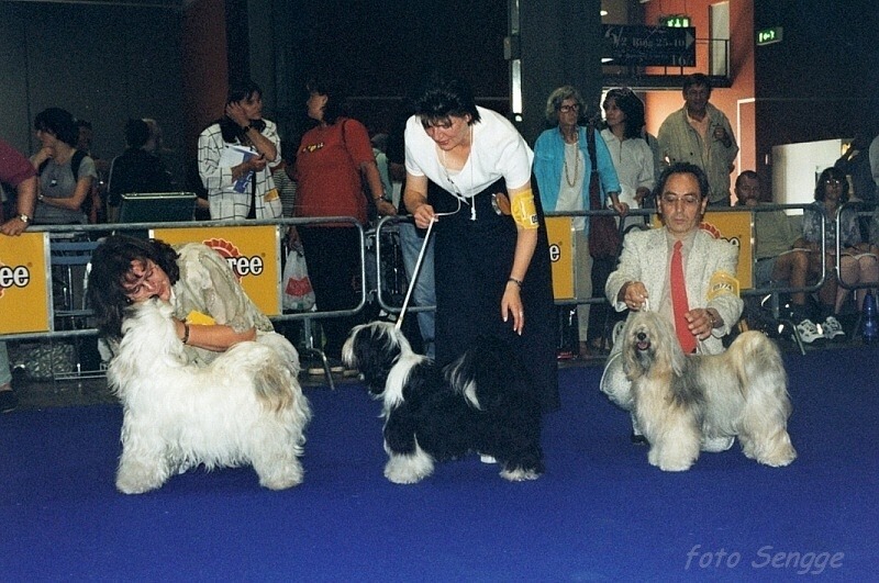 World Dog Show Milano 2000 8629-42