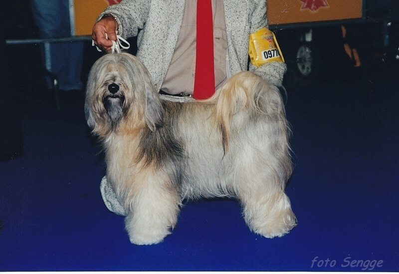 World Dog Show Milano 2000 8635-45