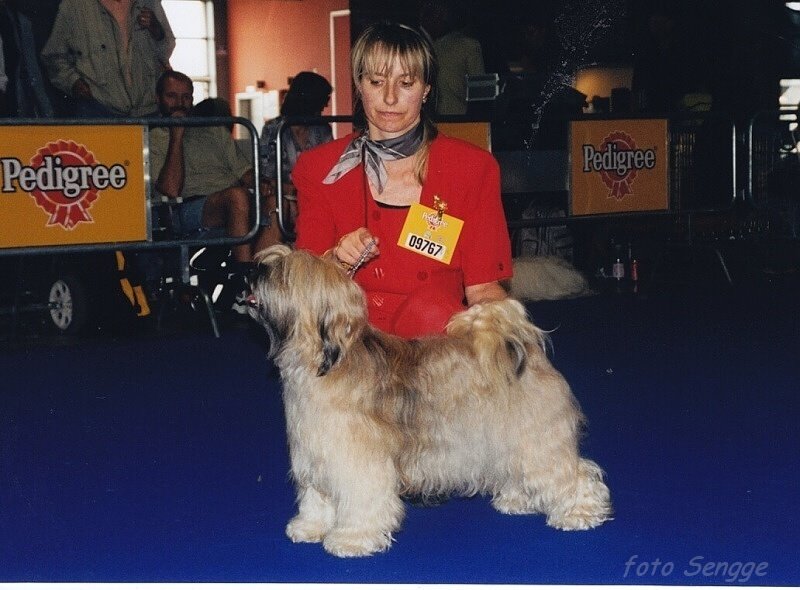 World Dog Show Milano 2000 8637-46