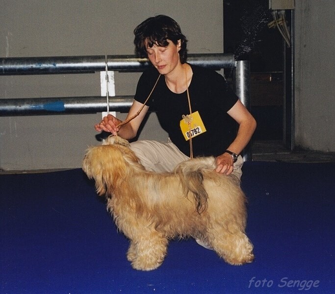 World Dog Show Milano 2000 8643-49