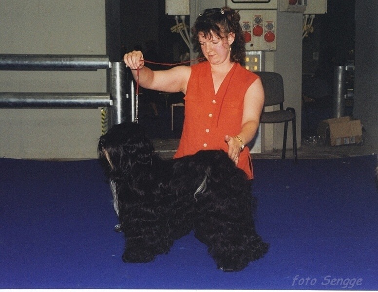 World Dog Show Milano 2000 8645-50
