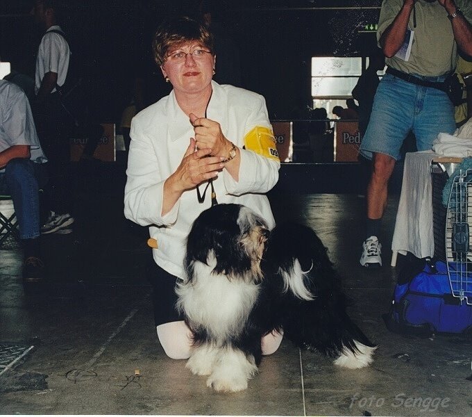 World Dog Show Milano 2000 8649-52