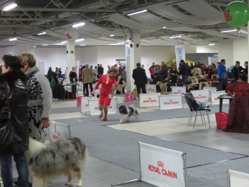 13-14.12.2014 г. "Невский победитель 2014" г.Санкт-Петербург 6723-7