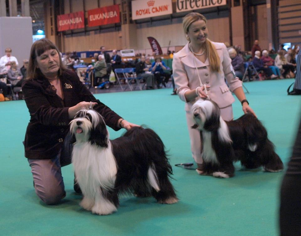 Crufts 2016 12405-29