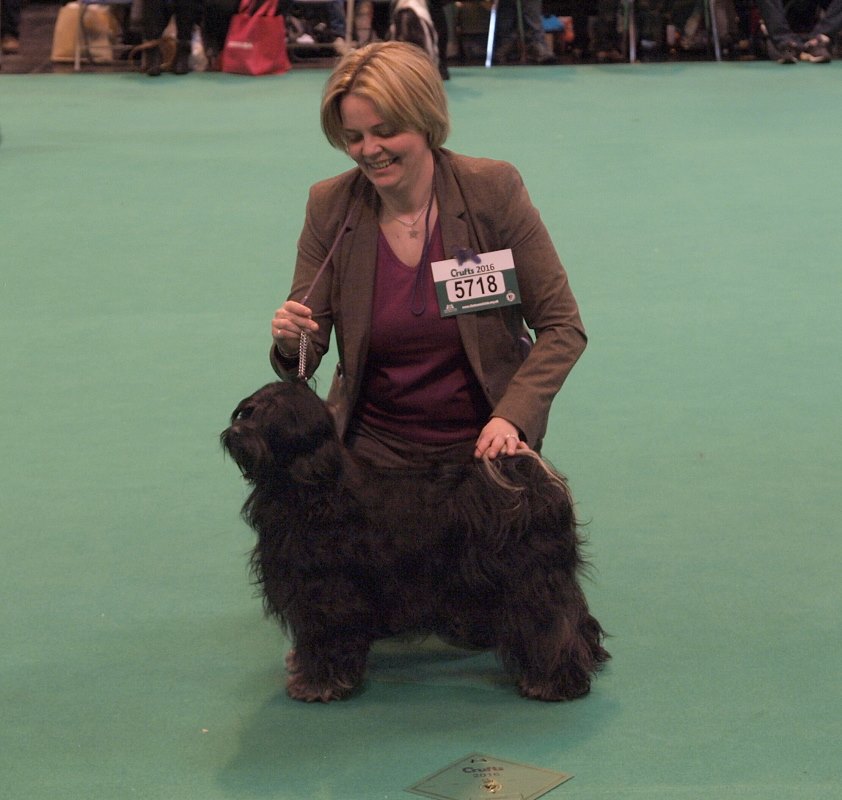 Crufts 2016 12441-46