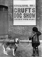 Английская выставка собак «Crufts» и тибетские терьеры.