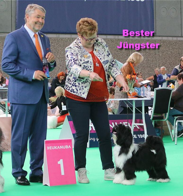 World Dog Show 2018 Amsterdam (THE NETHERLANDS) 20823-24