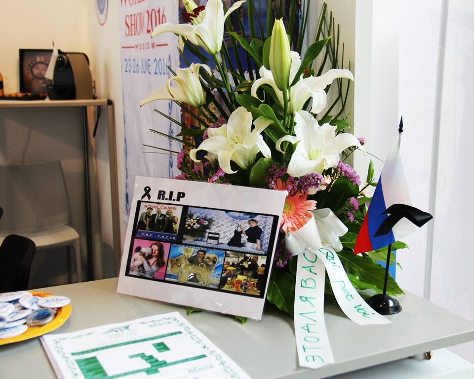 World Dog Show Milano 2015 8850-2