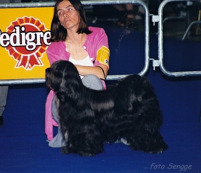 World Dog Show Milano 2000 8571-13