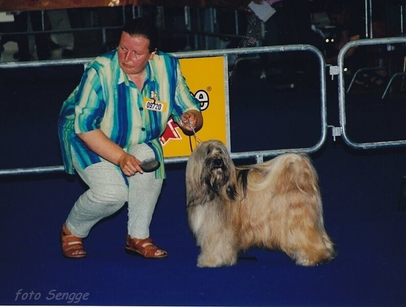 World Dog Show Milano 2000 8587-21