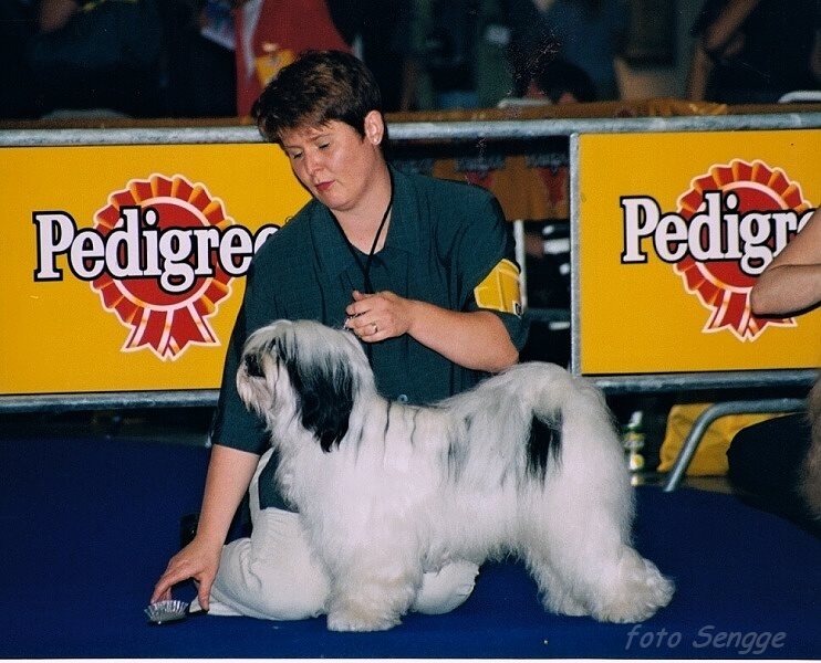 World Dog Show Milano 2000 8595-25