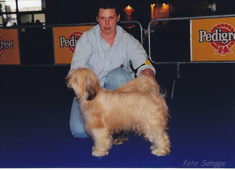 World Dog Show Milano 2000 8641-48