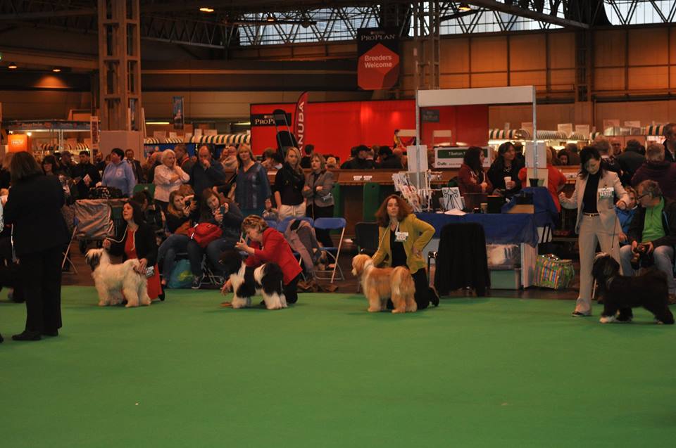 Crufts 2014 4199-7