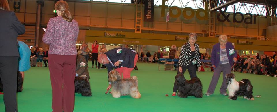 Crufts 2014 4310-74