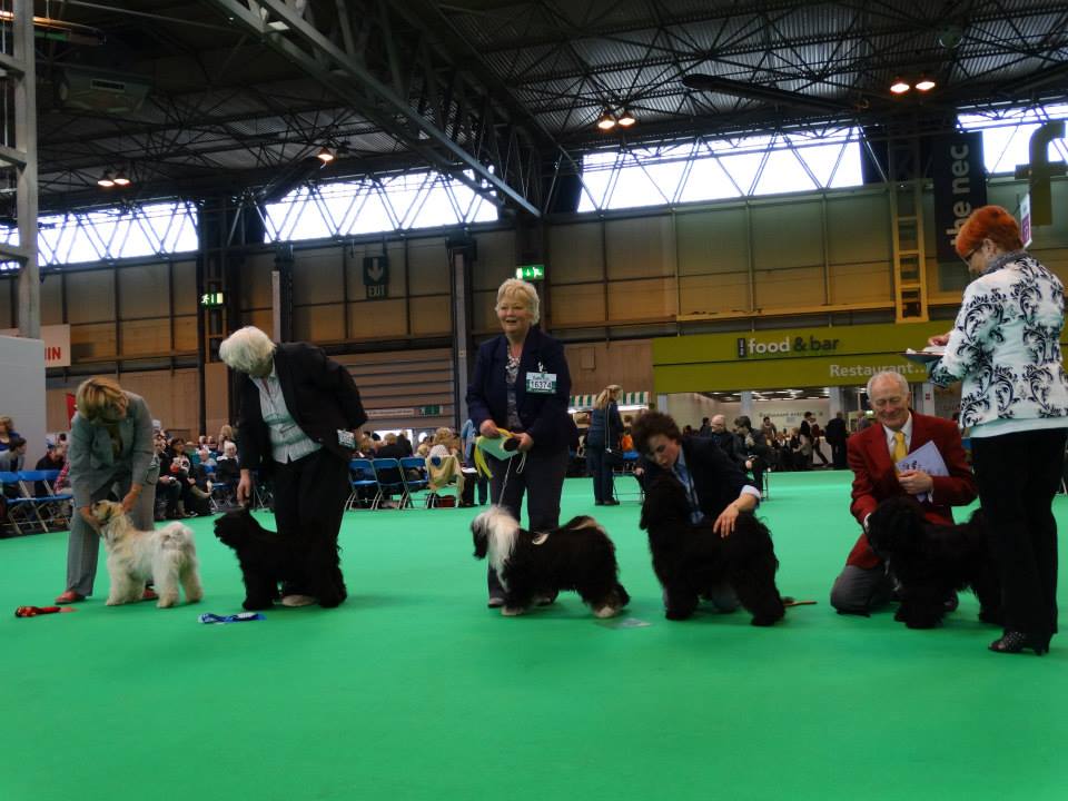 Crufts 2014 4348-49
