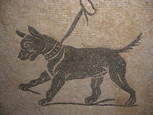 ИСТОРИЯ ОШЕЙНИКА