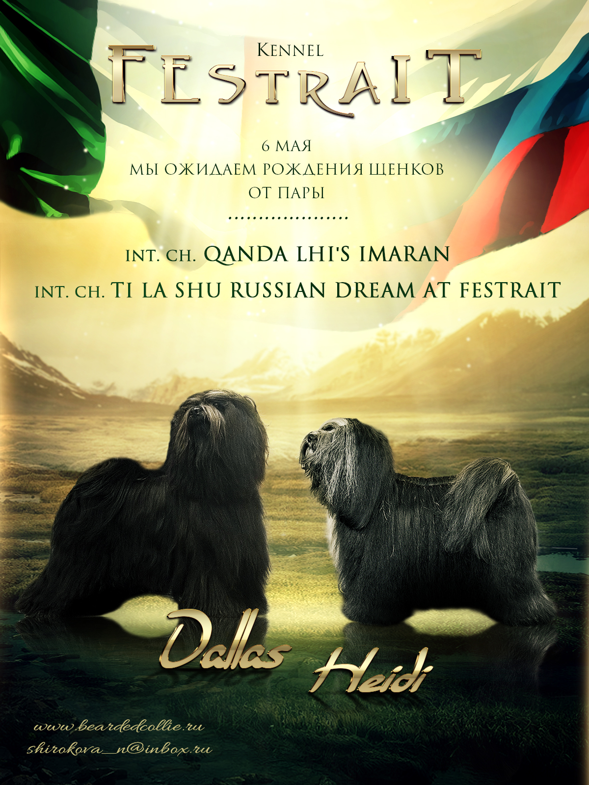 07.05.2017 щенки "Фестрайт" г. Санкт-Питербург 16928-0